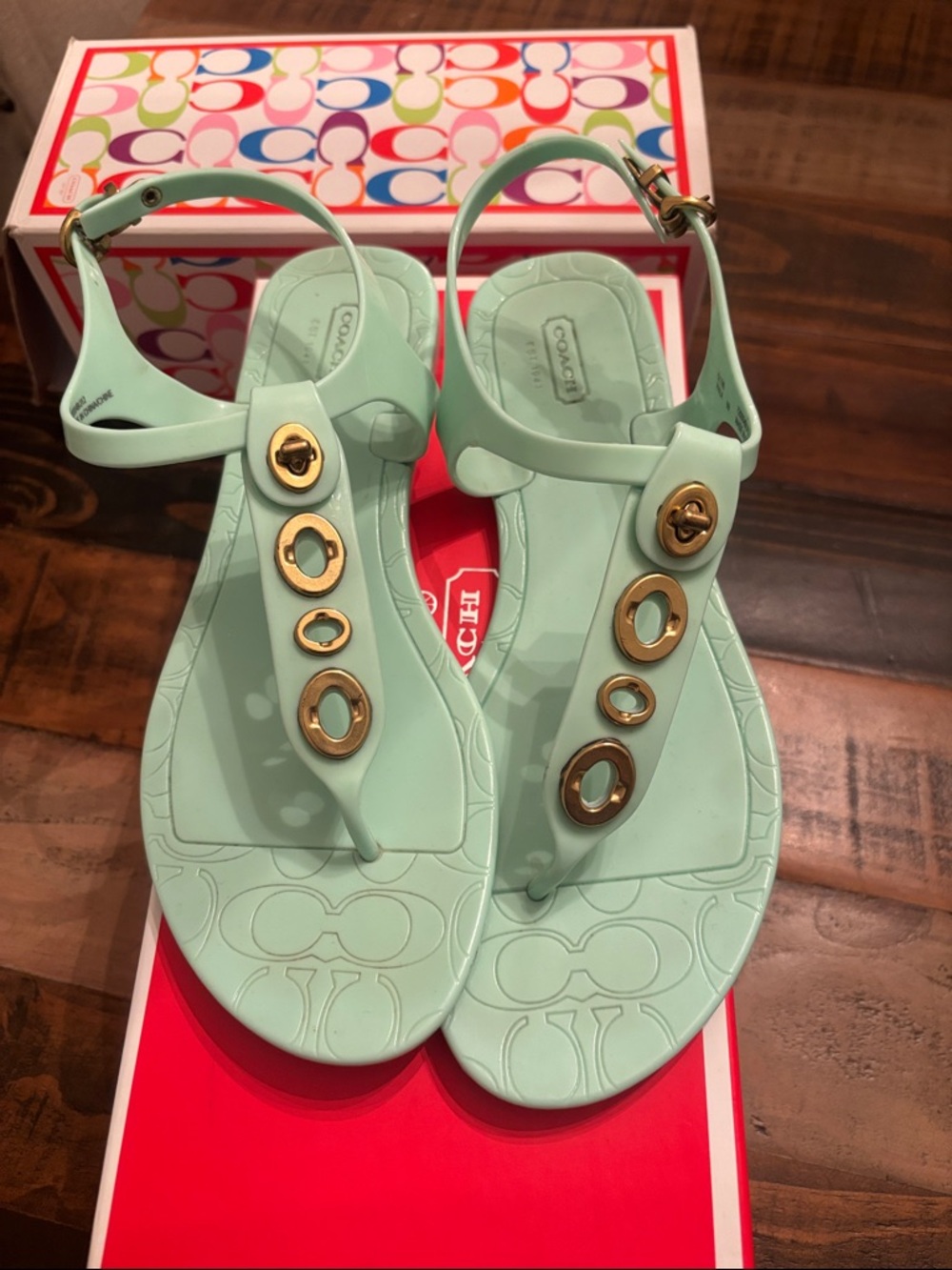 Coach Mint Green Jelly T-Strap Sandals with Gold Accents